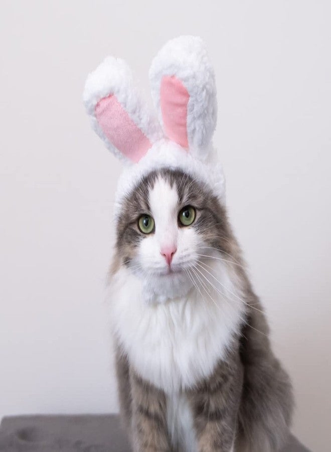 YUJUN Cat Easter Cute Costume Pet Bunny Rabbit Hat with Ears for Cats Small Dogs Puppy Easter Party Costume Accessory Headwear - Image 4